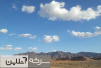 اخطارهای کتبی به مرغداری‌های متخلف صادر شد