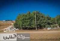 کرگ‌وانه؛ نگین سرسبز سرخه در دل گردنه بشم