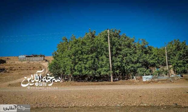 کرگ‌وانه؛ نگین سرسبز سرخه در دل گردنه بشم