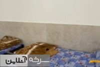 اردوگاه شهدای دانش‌آموزی سرخه برای میزبانی از گردشگران