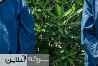 وقوع نزاع و درگیری در سرخه؛ ۶ نفر دستگیر شدند