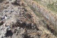 مطالبه مردمی و تجربه‌ای محیط‌زیستی در آب‌تلخ لاسجرد