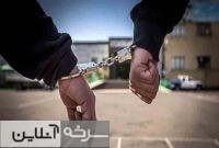 دستگیری سارقان سیم و کابل در سمنان