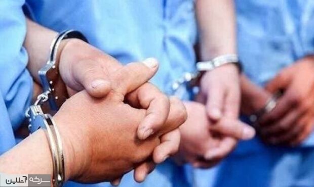 دستگیری ۷ عامل مرتبط با شبکههای معاند دستگیری ۷ عامل مرتبط با شبکههای معاند