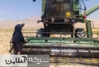 آمادگی ماشینآلات برداشت گندم در سرخه آمادگی ماشینآلات برداشت گندم در سرخه