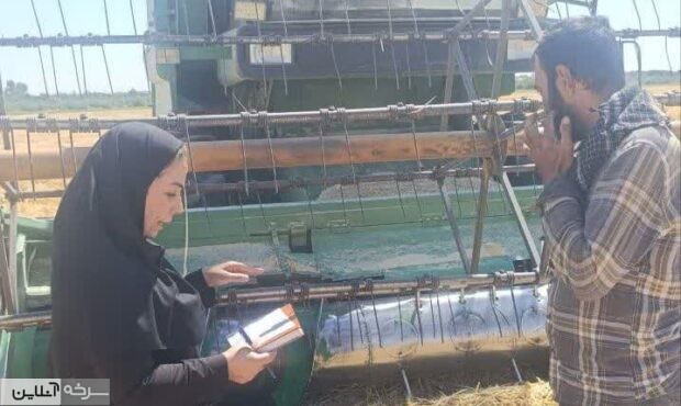 توسعه تولید گندم با ارقام سازگار سرخه توسعه تولید گندم با ارقام سازگار سرخه