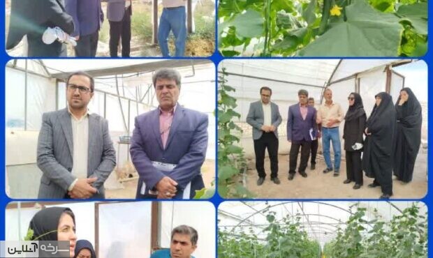 مشکلات آب و انرژی گلخانههای سرخه بررسی شد مشکلات آب و انرژی گلخانههای سرخه بررسی شد